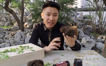 俄羅斯西伯利亞白樺茸真假鑒別與科學服用方法