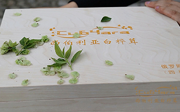 腫瘤藥市場步入爆發(fā)期  中俄推進西伯利亞白樺茸產(chǎn)業(yè)