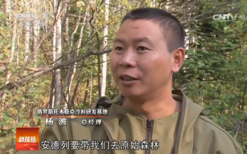 俄羅斯珍寶探秘 西伯利亞冷杉重磅登陸CCTV-7《科技苑》