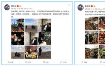 天然綠色 白樺茸等俄羅斯健康產品受國內市場歡迎