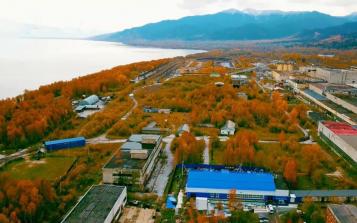 深藏原始白樺林、貝加爾湖水滋養 探秘西伯利亞白樺茸原產