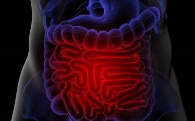 人的腸道一生要處理70噸食物！呵護腸道健康需要注意啥？