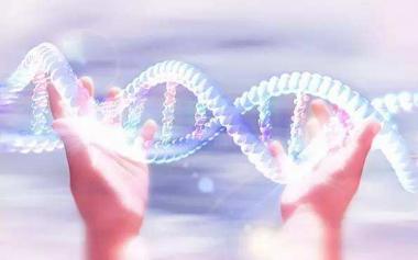 癌癥越治越多？對大自然的過度干預、不良生活方式是主因