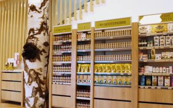 西伯利亞白樺茸具有多重營養價值 兩大研究方向成重點