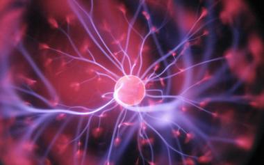 肥胖如何導致癌癥高發？《Science》子刊最新研究揭曉答案