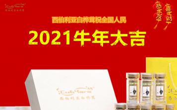 2021新春寄語：促進中俄傳統(tǒng)醫(yī)學交流，做最好的白樺茸！